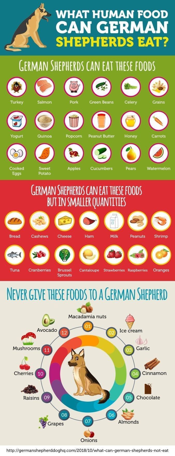 What Human Food Can German Shepherd Eat