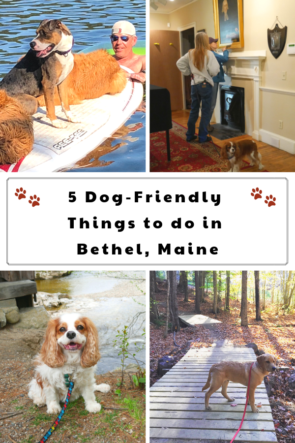 5 Dog-Friendly Things to do in Bethel, Maine.